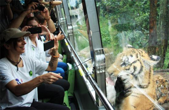 欧洲熊猫粉丝恋上碧峰峡 不想离去(图14)